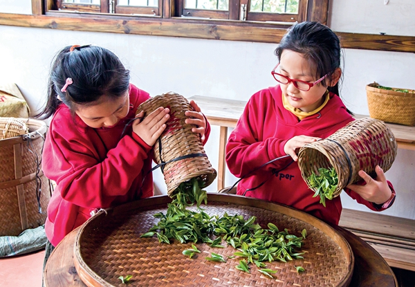 Jasmine Tea, a Never-Fading Charm to Beijingers