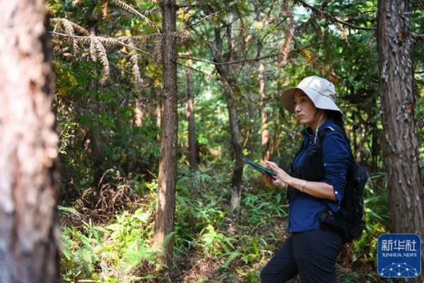 'Guardian Angels' of Wetlands