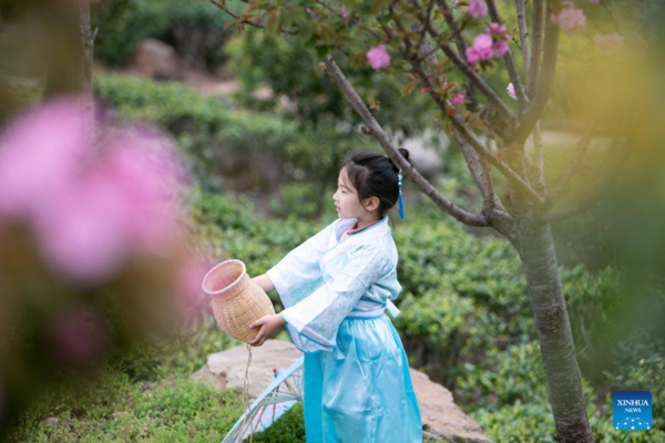 Tea Industry Cultivated to Boost Local Farmers' Income in SW China