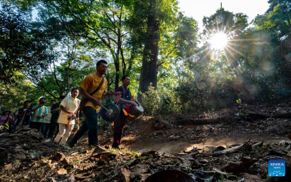 Spring Tea Picking Starts in Pu'er City, China's Yunnan