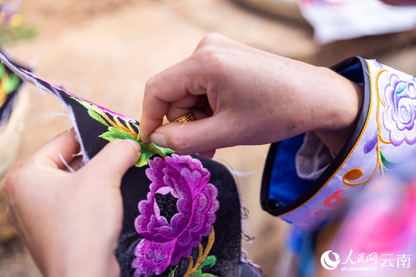 Peony Cultural Tourism Festival Kicks off in Wuding, SW China's Yunnan