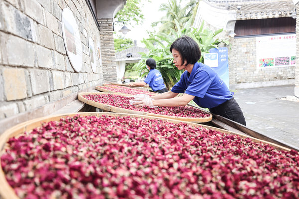 Innovation and Development Demonstrated During Boao Forum