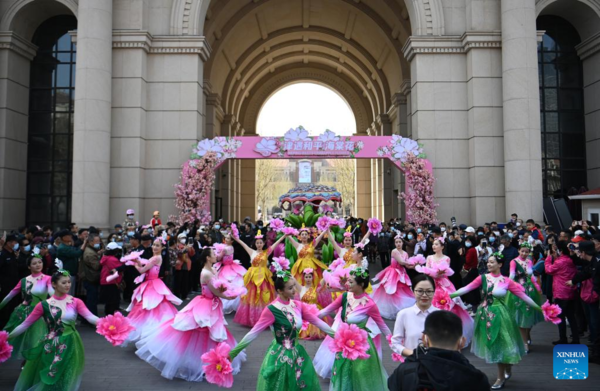 Blossoms of Chinese Flowering Crabapple Boost Tourism in N China's Tianjin