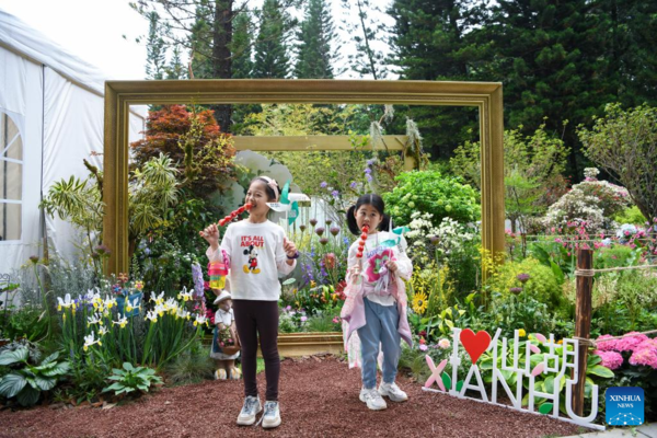 Greater Bay Area Flower Show Opens at Shenzhen Fairy Lake Botanical Garden