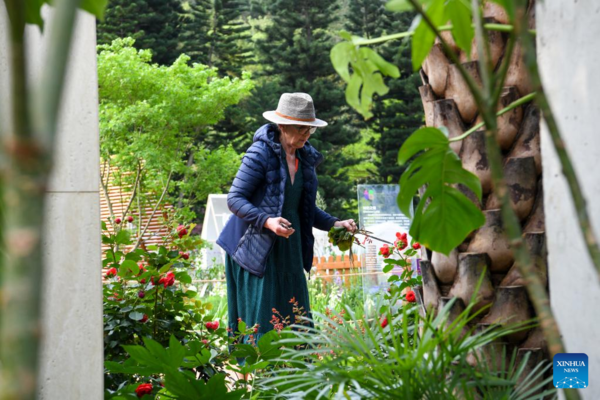 Greater Bay Area Flower Show Opens at Shenzhen Fairy Lake Botanical Garden