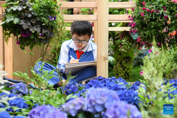 Greater Bay Area Flower Show Opens at Shenzhen Fairy Lake Botanical Garden