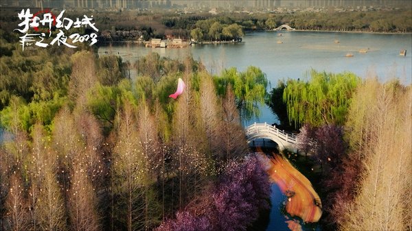 40th China Luoyang Peony Cultural Festival Opens