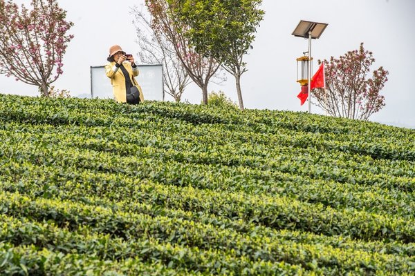 Foreign Filmmakers to Shoot Documentaries in China's Chongqing