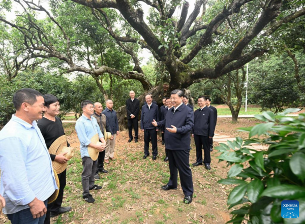 Xi Inspects Southern Chinese City of Maoming
