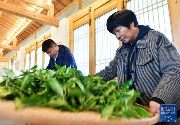 Craftswoman Promotes Rural Vitalization by Developing Family's Tea Business
