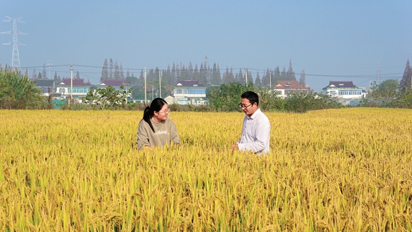 Cultivating a Green Farm