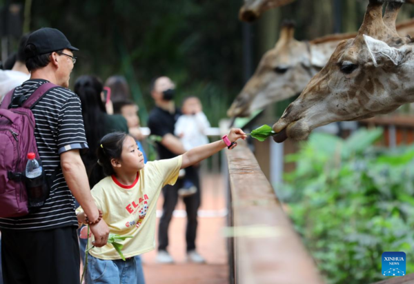 Beijing improves services to facilitate film and television projects