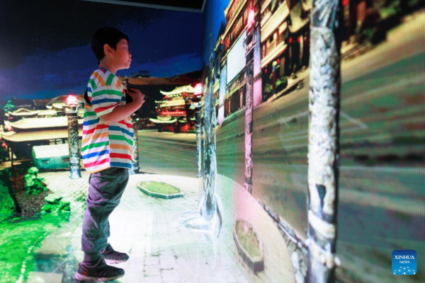 China Int'l Big Data Expo Attracts Youngsters