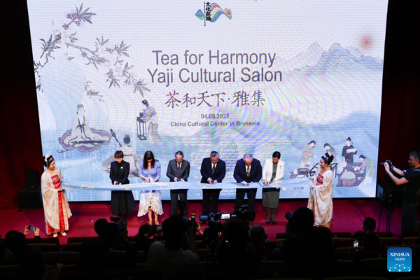 China Cultural Center Hosts Salon to Promote Tea Culture in Brussels