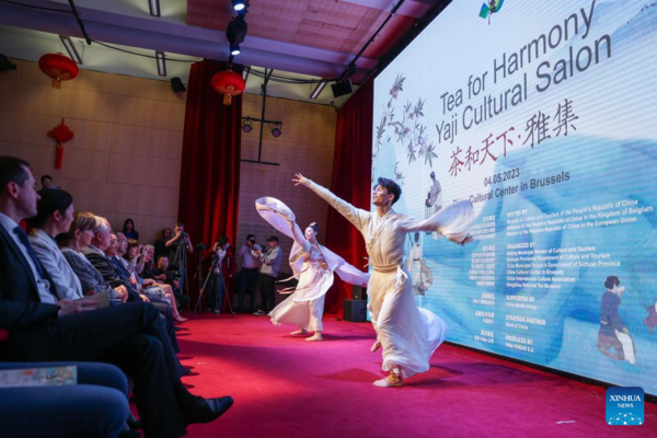 China Cultural Center Hosts Salon to Promote Tea Culture in Brussels