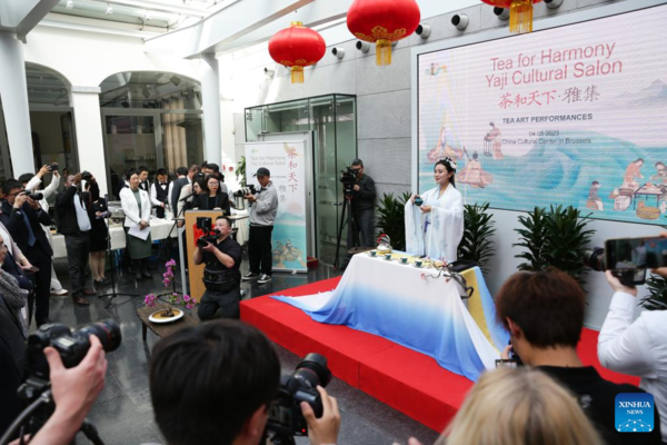 China Cultural Center Hosts Salon to Promote Tea Culture in Brussels