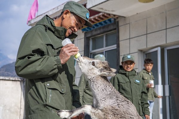 From Conflict to Coexistence: China Sees Changing Human-Wildlife Relations