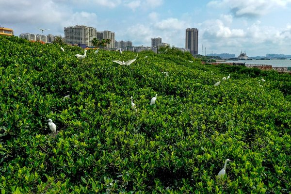 Embracing the spring season: Hulun Lake in north China