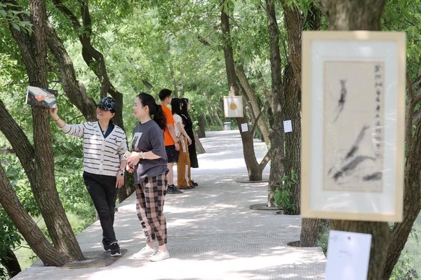 Art Enriches Cultural Life in China's Rural Regions