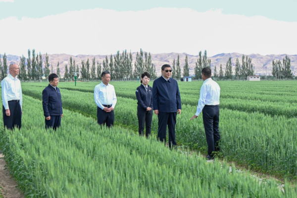 Xinhua Headlines-Xi Focus: Xi Urges Sustained Efforts to Curb Desertification