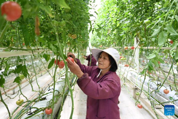 Green Rural Revival Program Lifts Image of Countryside in China's Zhejiang