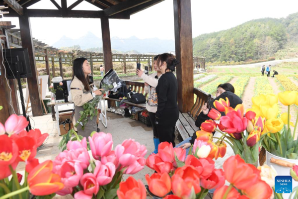 Green Rural Revival Program Lifts Image of Countryside in China's Zhejiang