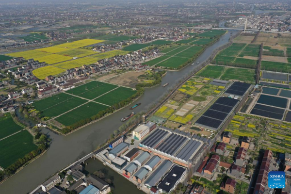 Green Rural Revival Program Lifts Image of Countryside in China's Zhejiang