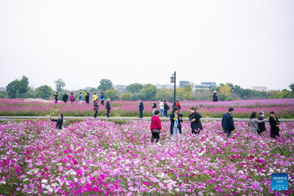 Green Rural Revival Program Lifts Image of Countryside in China's Zhejiang