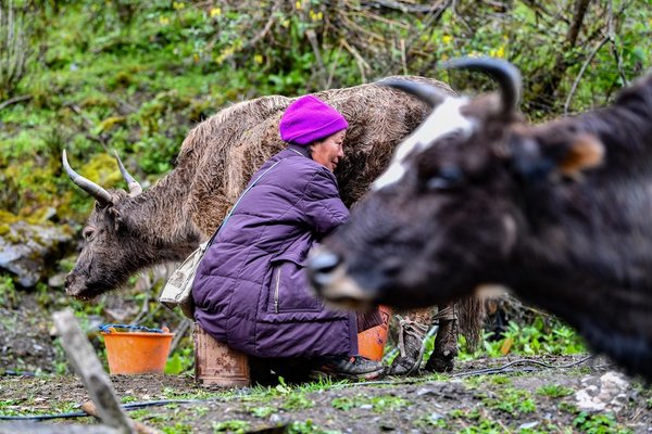 GLOBALink | Villagers in Yumai Embrace Better Life