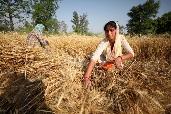 UN Chief Calls for Equal Land Rights for Women