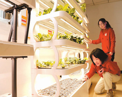 Young Chinese Adopt Intelligent Tech for Agricultural Production