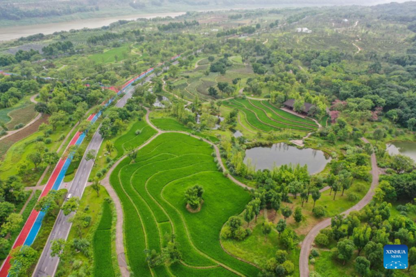 People Visit Guangyang Isle for Ecological Education Tour in SW China's Chongqing