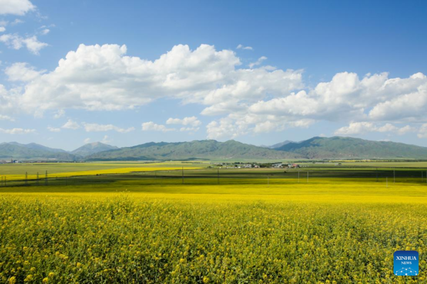 NW China's Zhaosu County Enters Peak Tourism Season in Summer