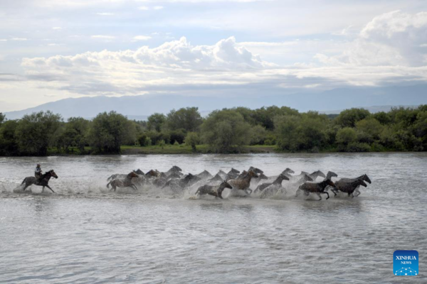 NW China's Zhaosu County Enters Peak Tourism Season in Summer