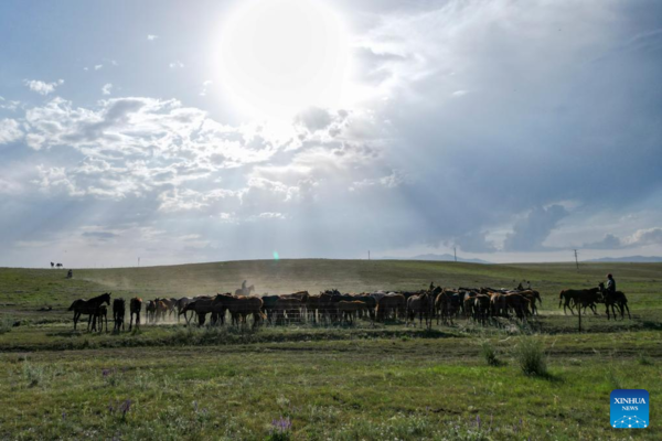 NW China's Zhaosu County Enters Peak Tourism Season in Summer