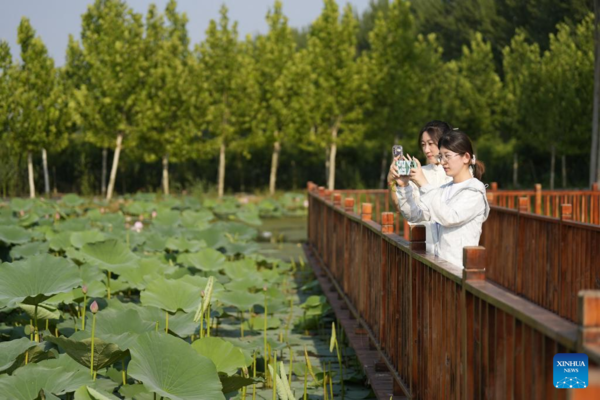 Improved Rural Living Environment Boosts Rural Revitalization in North China