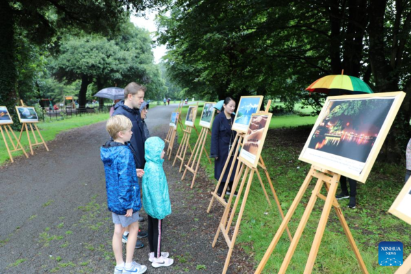 Event to Promote Chinese Culture Held in Dublin
