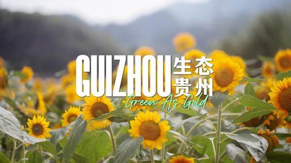 Documentary | Guizhou: Green As Gold
