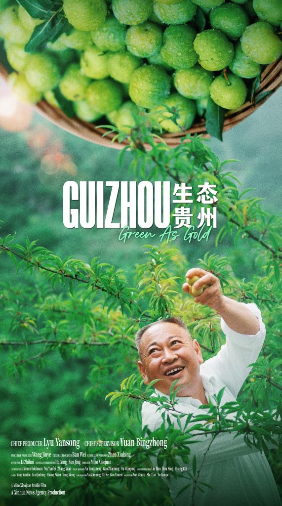 Documentary | Guizhou: Green As Gold