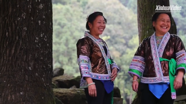 EnchantingGuangxi | From Woad to Cloth: The Make of Glossy 'Liang Bu' of Miao Ethnic Group in S China