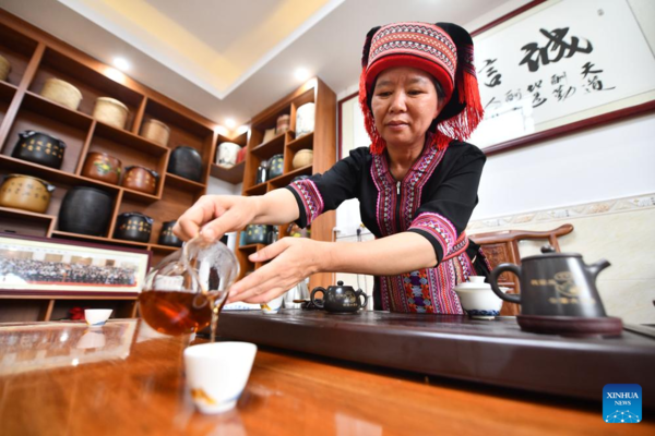 Wuzhou City Famous for Liubao Tea Making in S China's Guangxi