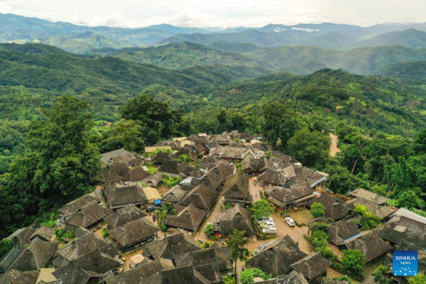 Old Tea Forests in China's Pu'er Listed as World Heritage Site