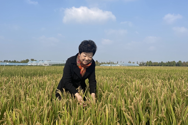 Working Tirelessly on Fertile Land