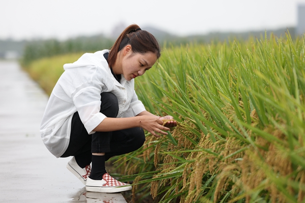 Innovating Rice Planting with Passion