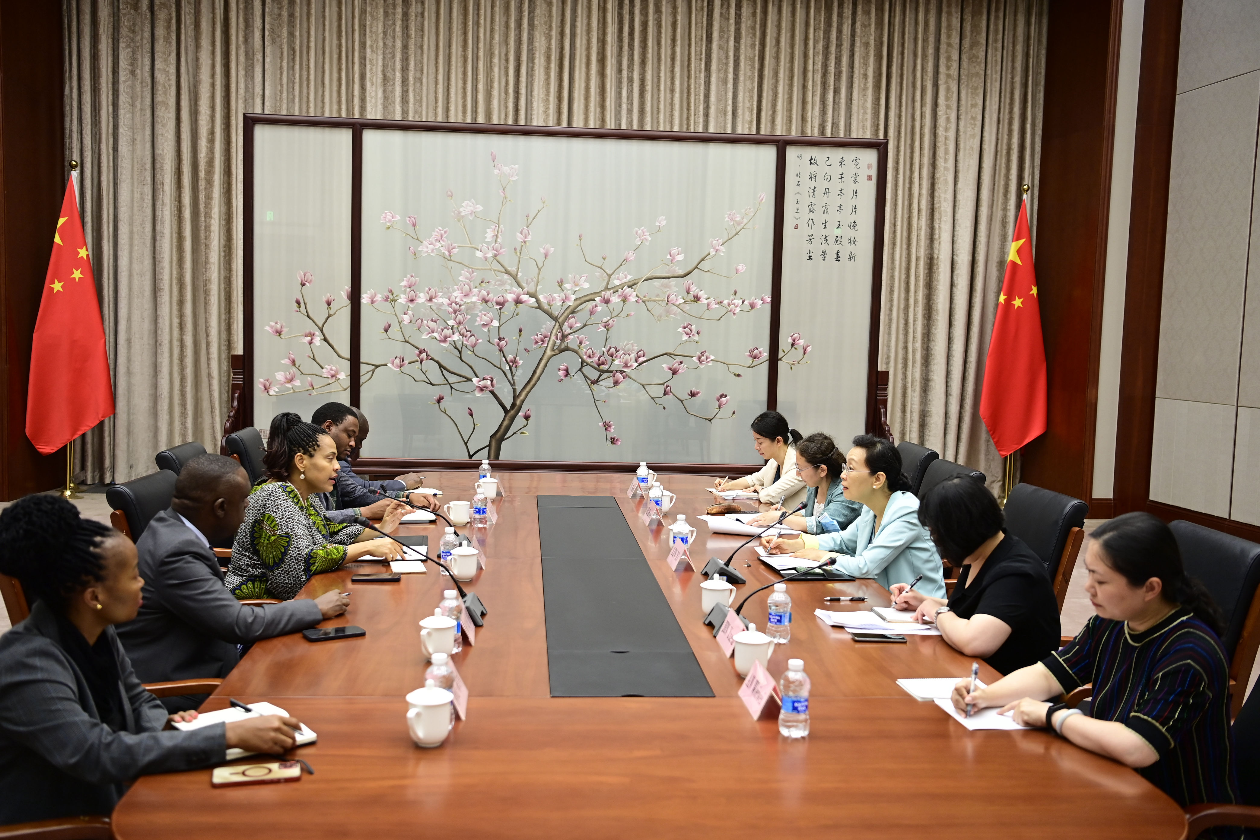Lin Meets Tanzanian Minister of State