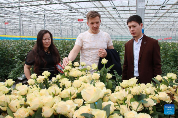 Smell of Success for Small-Town Rose Exporter