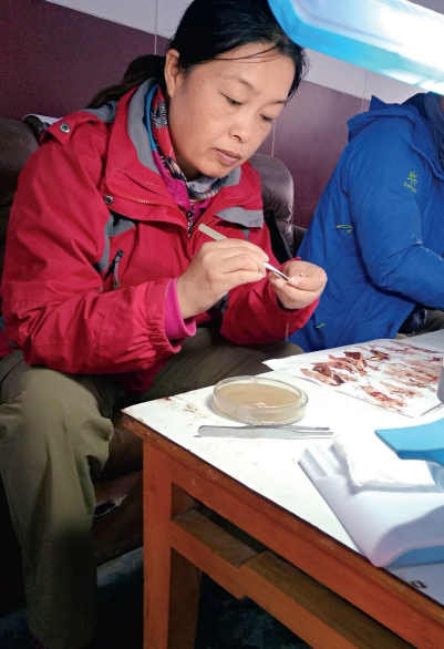 Researcher Protecting Rare Carp in Qinghai Lake