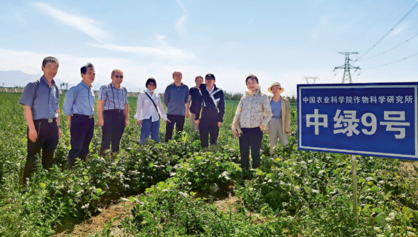 Helping Build a Beautiful Xinjiang