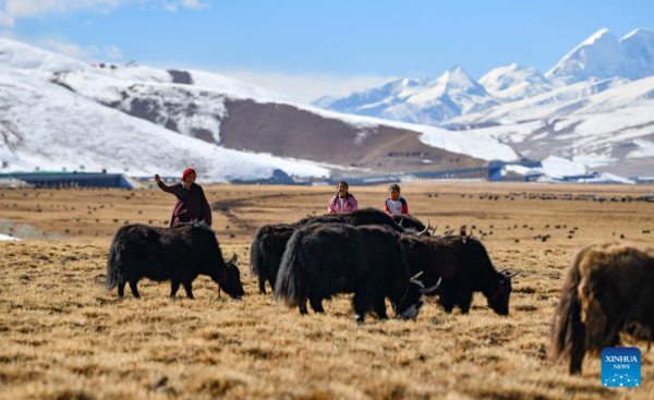 School Life in Damxung County, China's Xizang