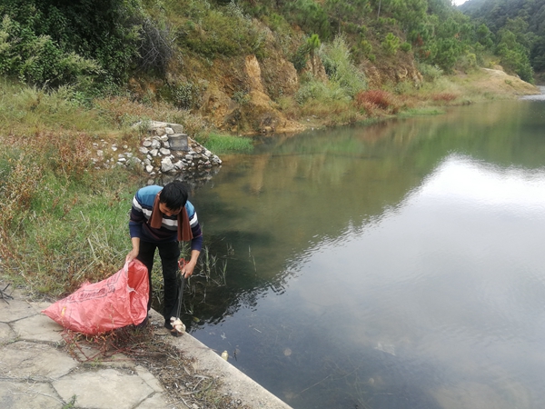 Family Lives Environmentally Friendly Life, Keeps Hometown 'Green'